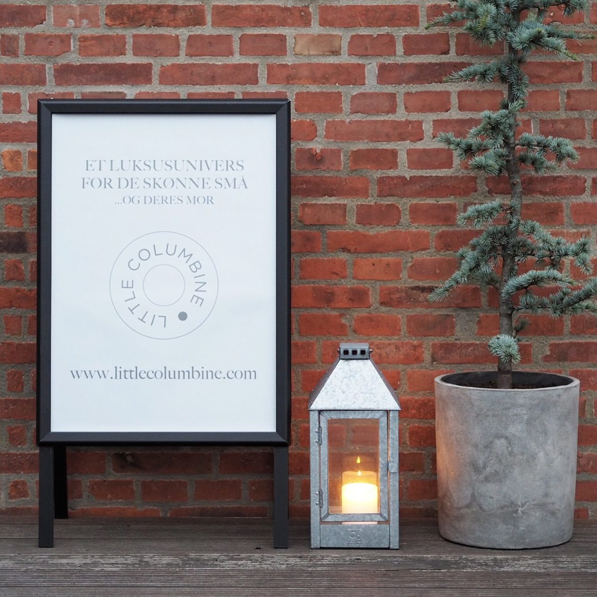 Little Columbine Indgang