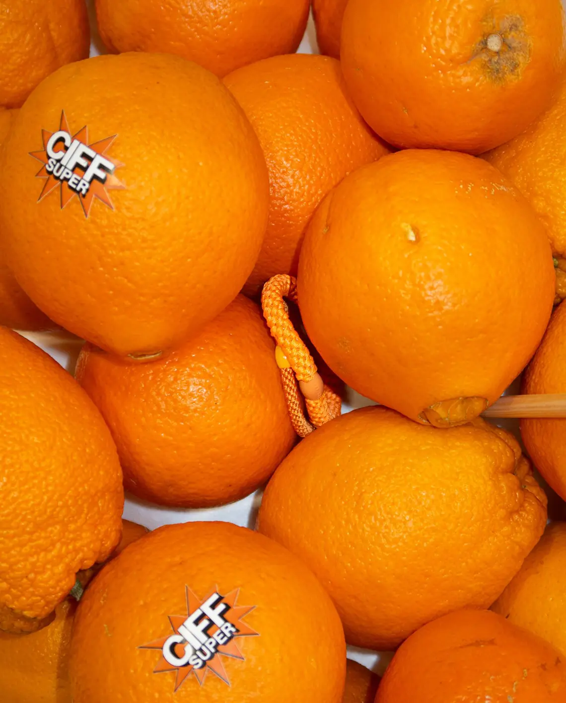 BonDep_kknekki_Neon_Orange_Look_LittleColumbine BonDep_kknekki_Neon_Orange_Look_LittleColumbine